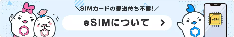 eSIMについて