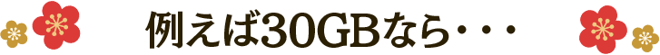 例えば30GBなら