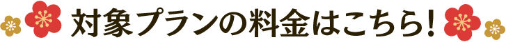 対象プランの料金はこちら！