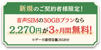 新規のご契約者様限定！音声SIMの30GBプランなら2,270円が3ヶ月間無料！※データ通信容量26GB分