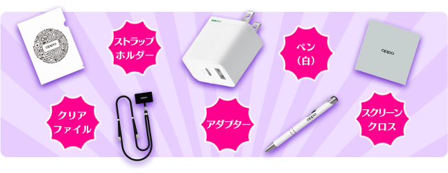 クリアファイル、ストラップホルダー、アダプター、ペン(白)、スクリーンクロスの5点セット