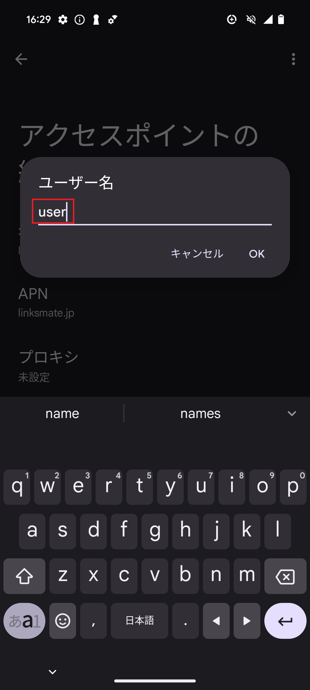 STEP13の設定画面