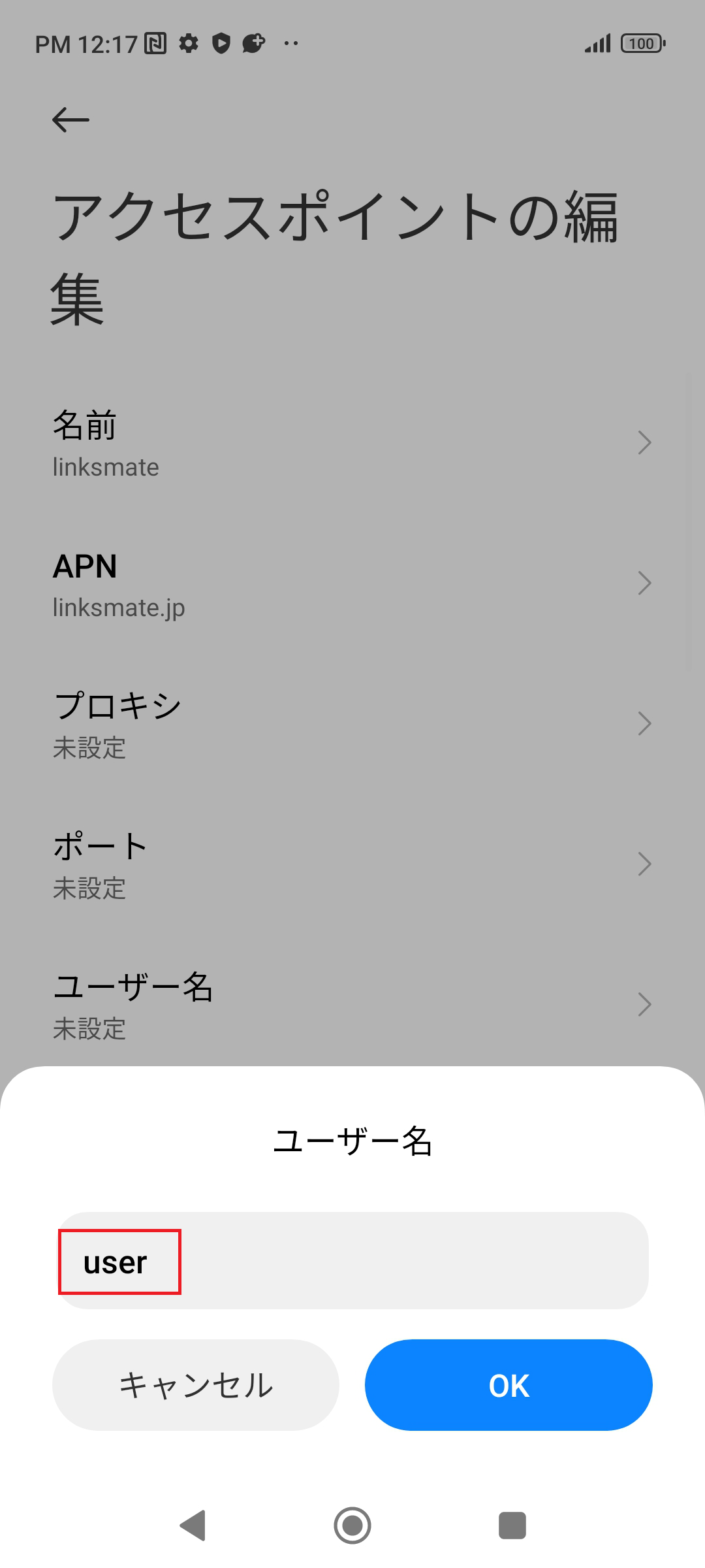 STEP11の設定画面