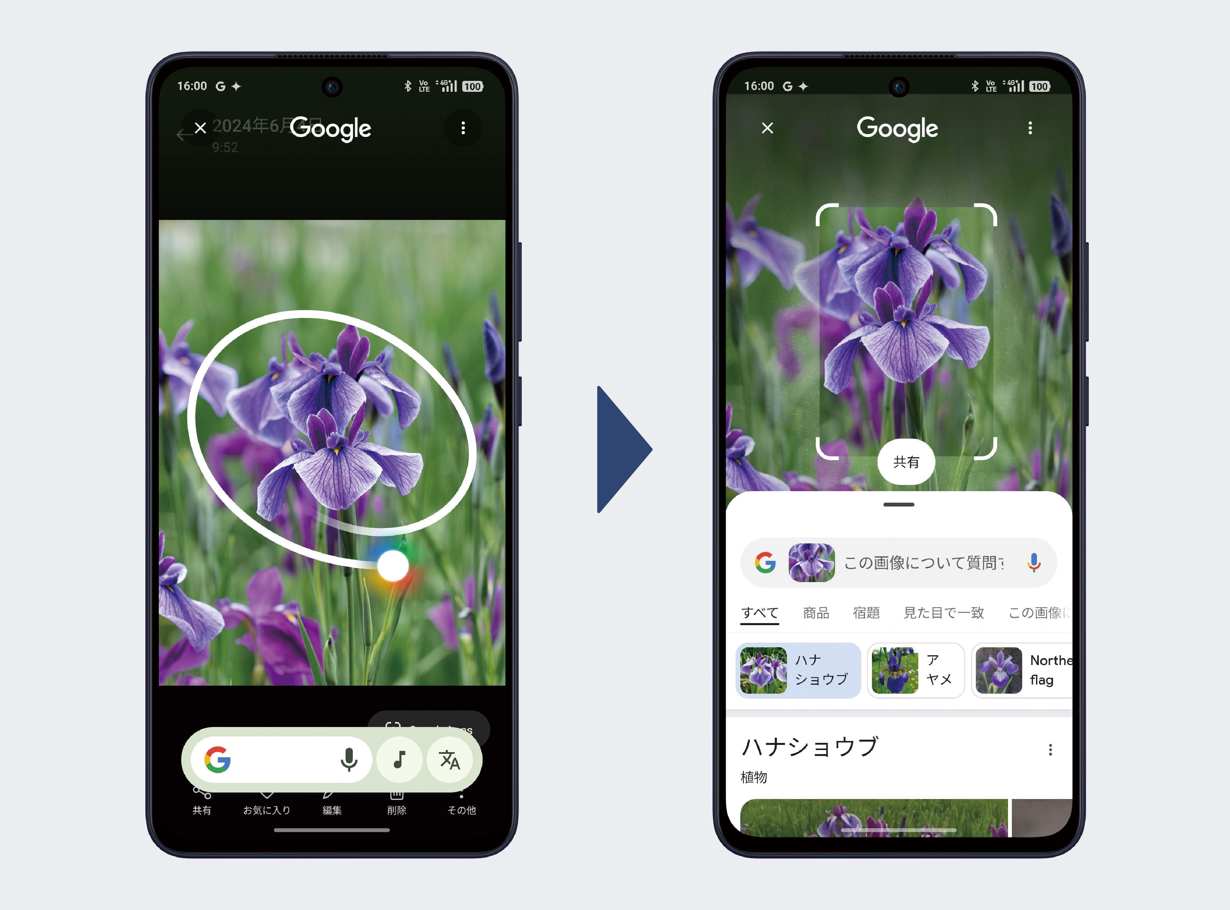 かこって検索with Google